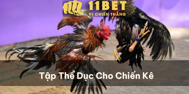 Chọn Thời Điểm Đá