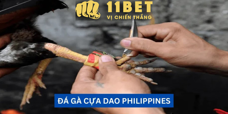 Soi Kèo 11bet - Nơi Để Bạn Khẳng Định Mình Là Dân Chơi Cá Độ