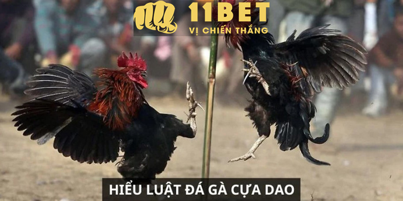 Xác Nhận Lệnh Rút Tiền